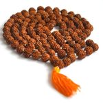 Rudrakshya Maala